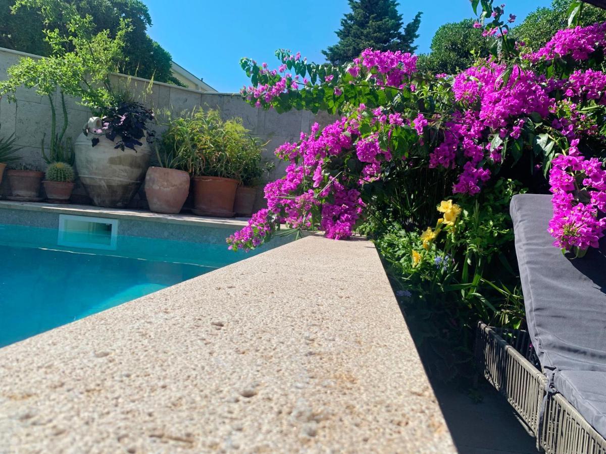 Luxury Pool Central Makarska Apartment By Maryn Екстериор снимка